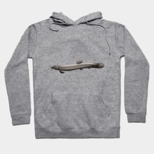 Dojo Loach Hoodie